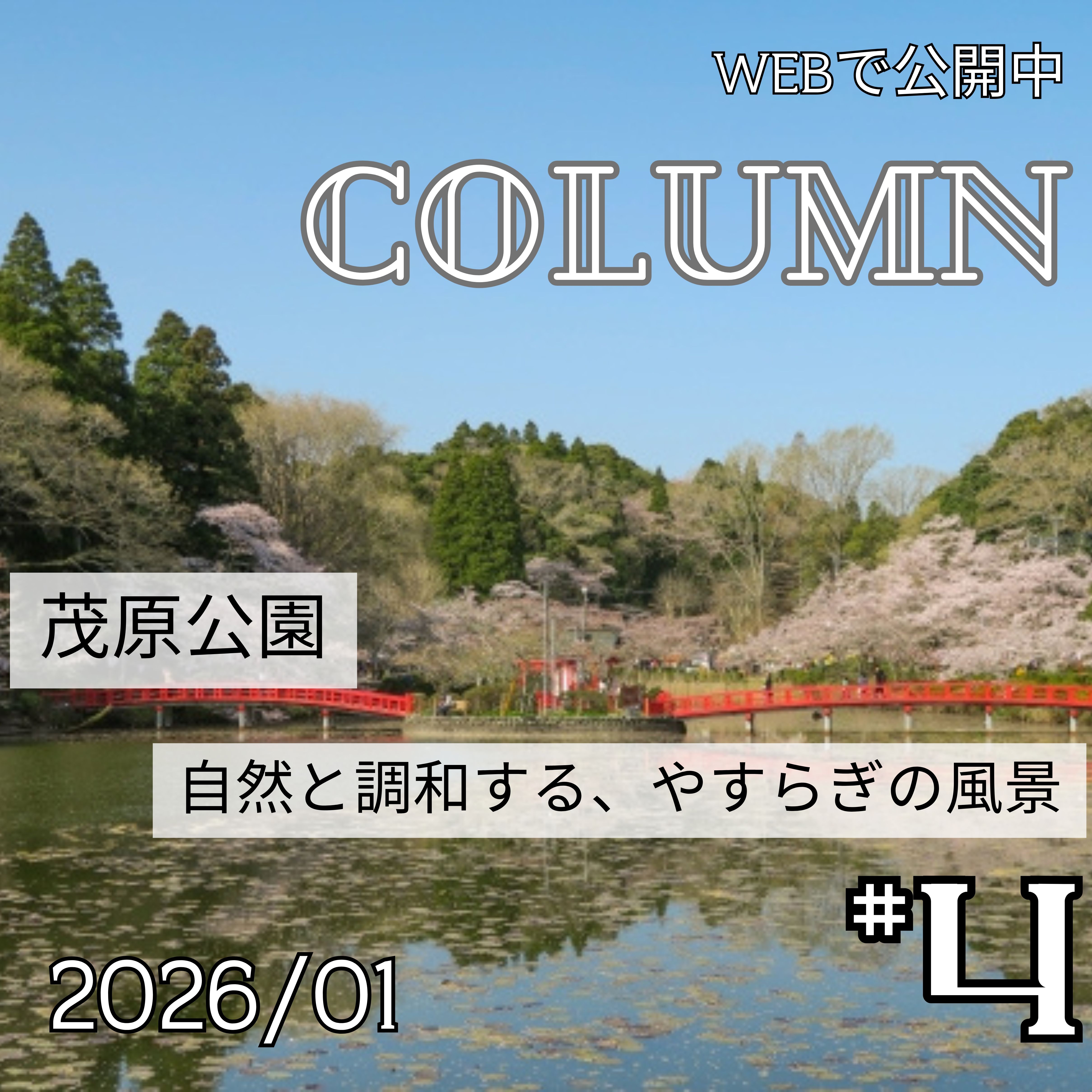 茂原公園 ― 自然と調和する、やすらぎの風景