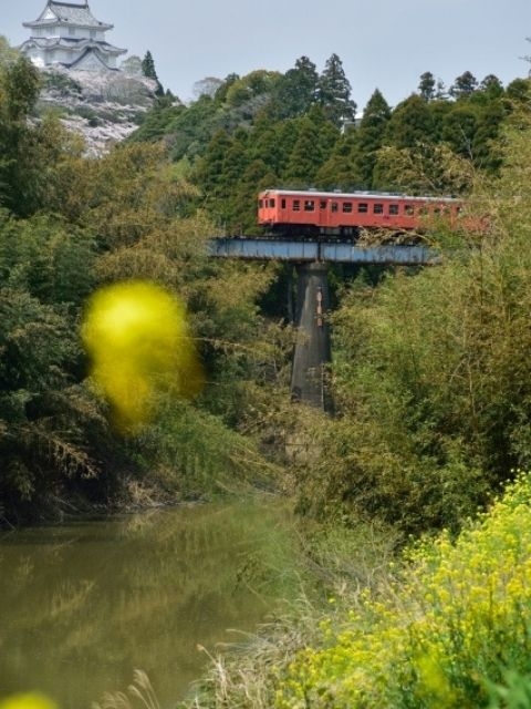 202609-2-4.jpg