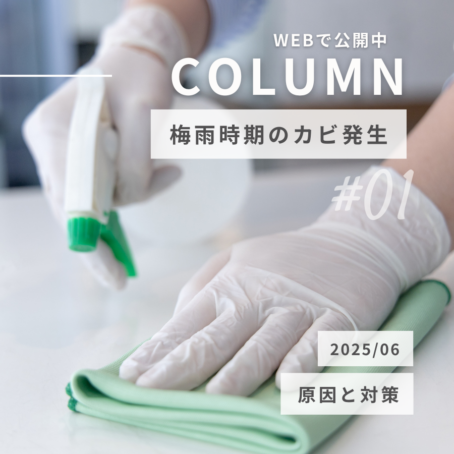梅雨時期のカビ発生を防ぐには？原因と対策を分かりやすく解説