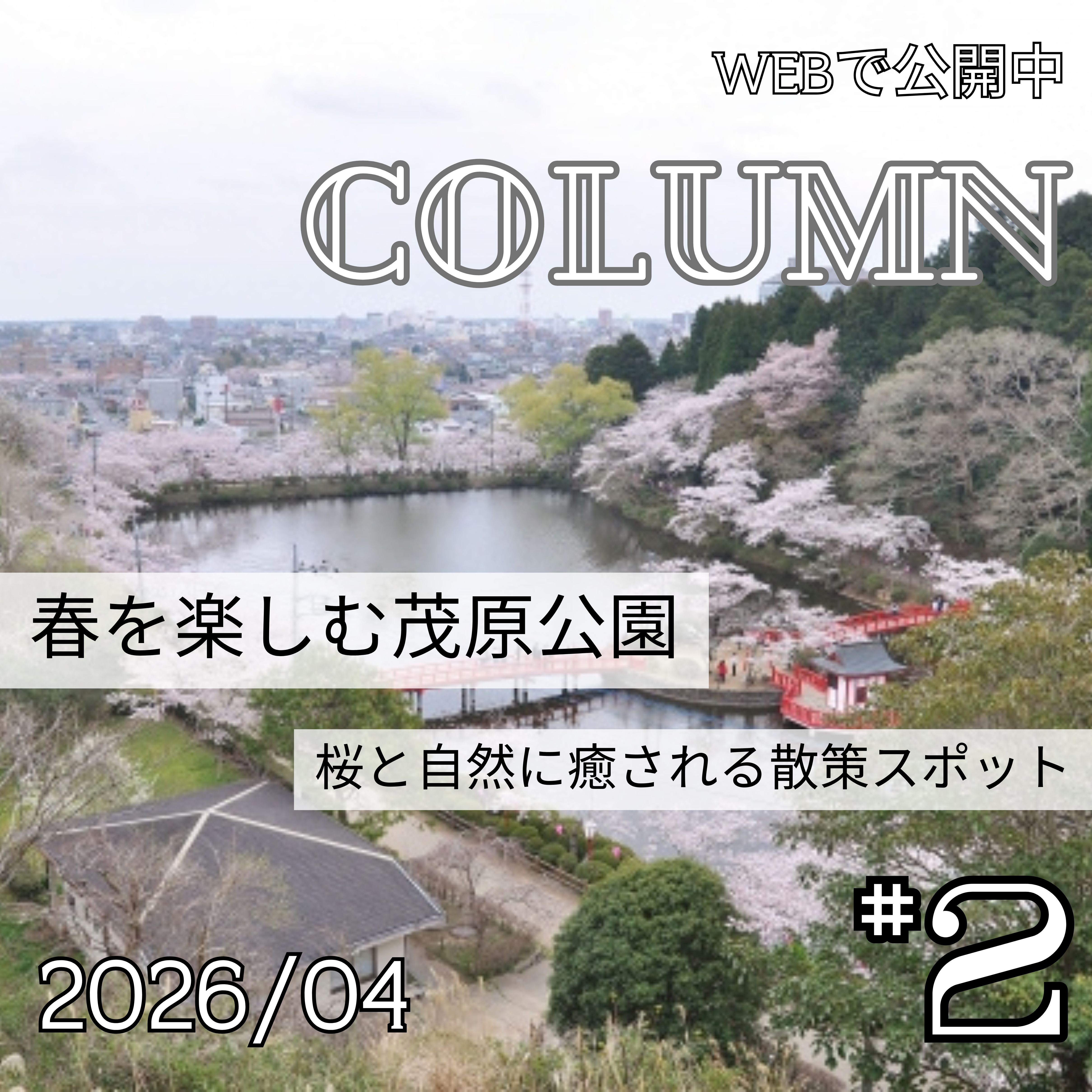 春を楽しむ茂原公園｜桜と自然に癒される散策スポット