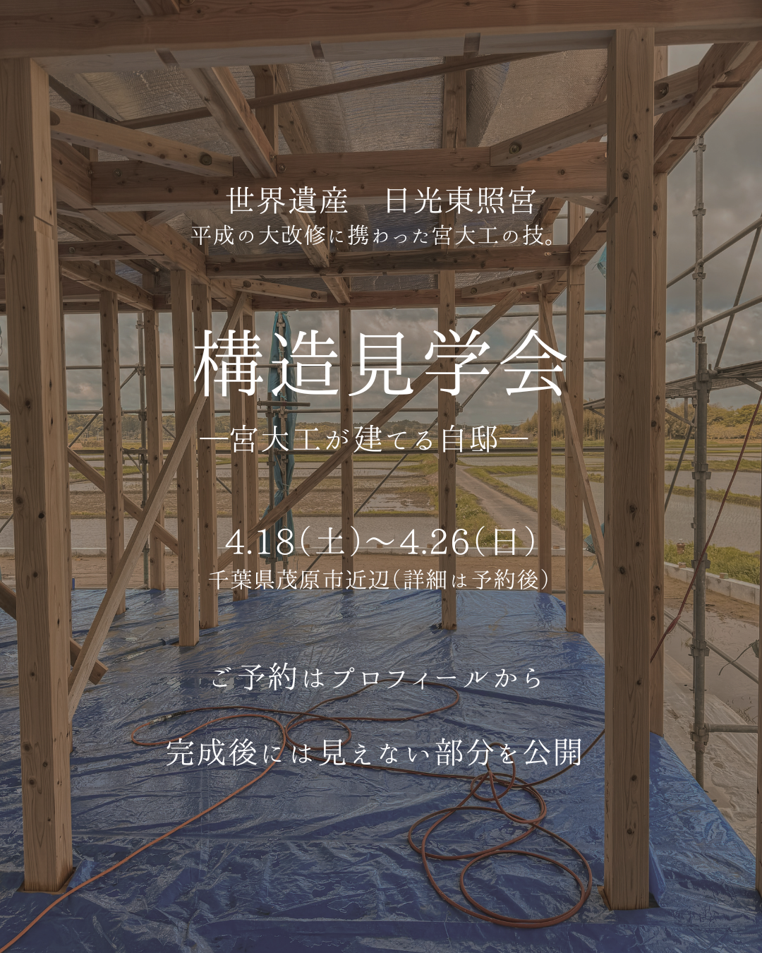 利休