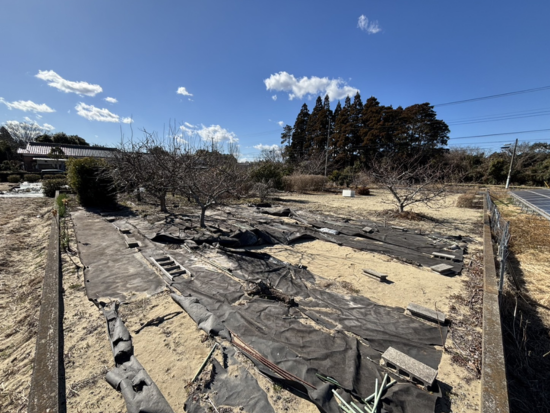 千葉県　長生村宮成土地情報