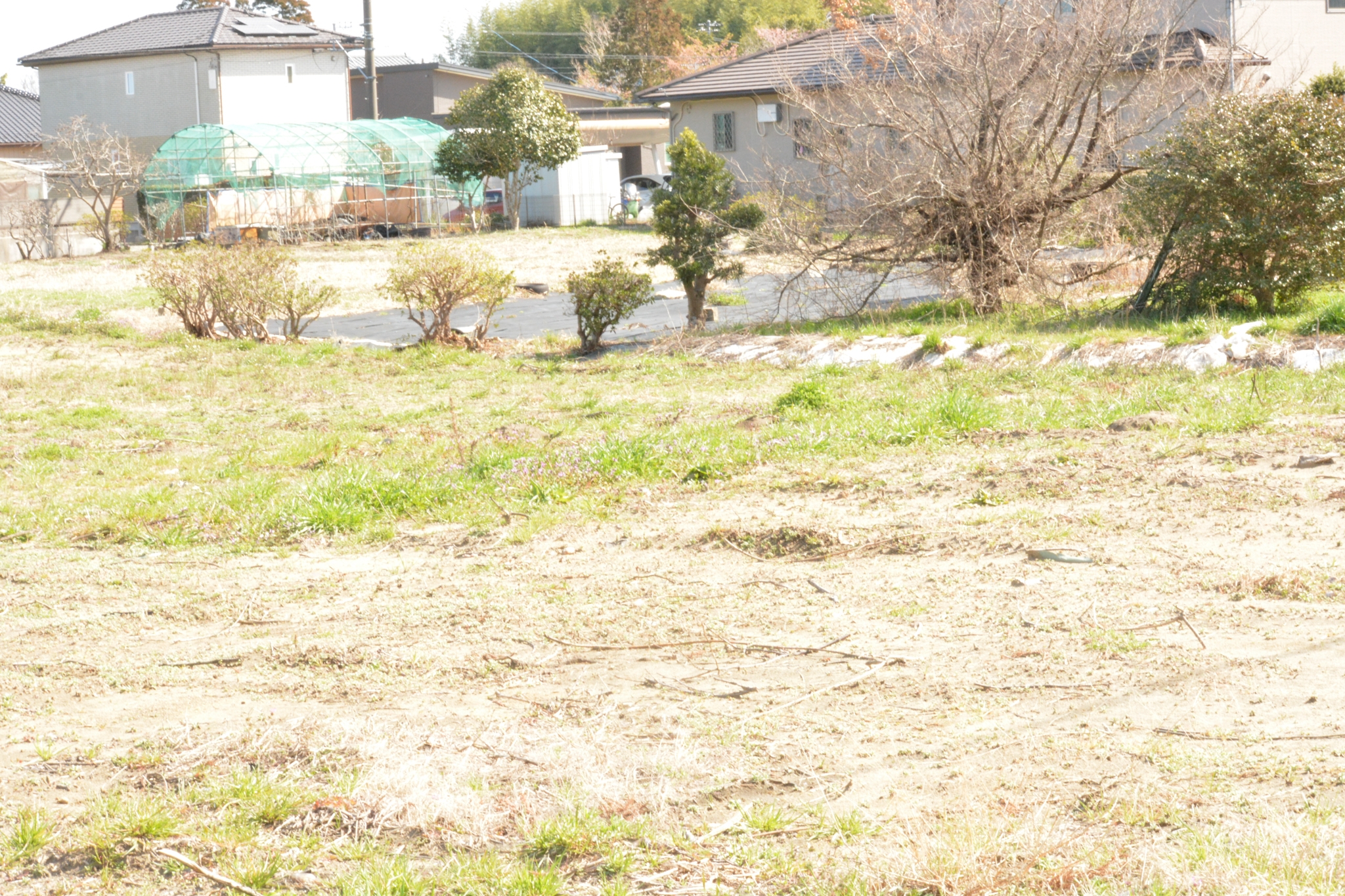 千葉県　長生村宮成土地情報